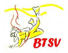 LOGO BTSV